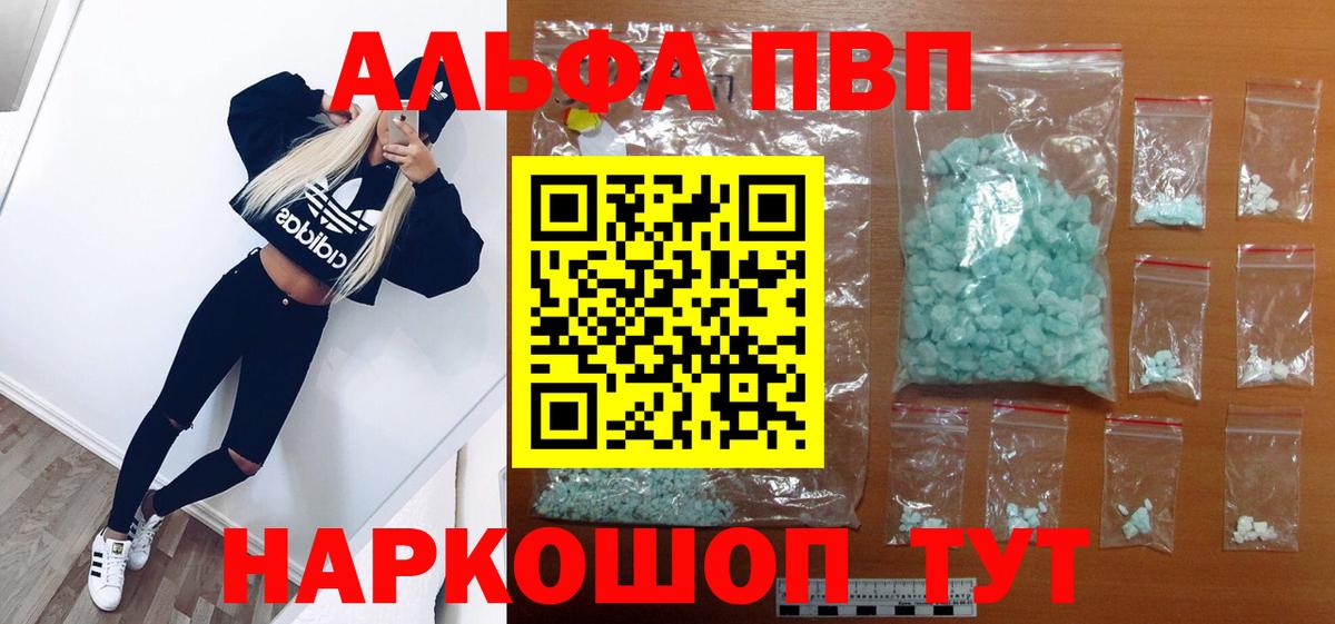 Альфа ПВП СК КРИС Пугачёв